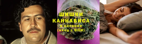 Альфа ПВП Каменка