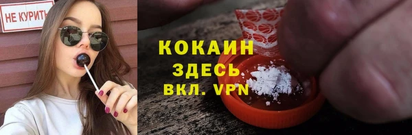 Альфа ПВП Каменка