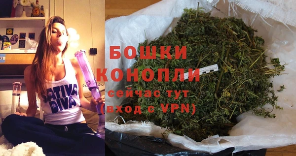 Альфа ПВП Каменка