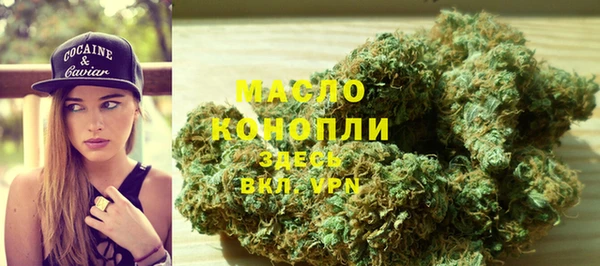 гашик Каменногорск