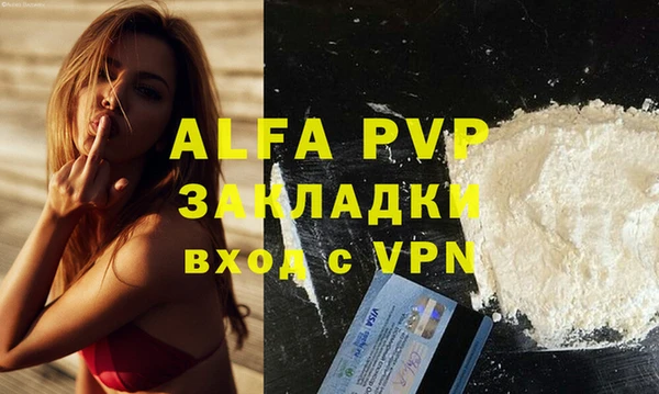 гашик Каменногорск