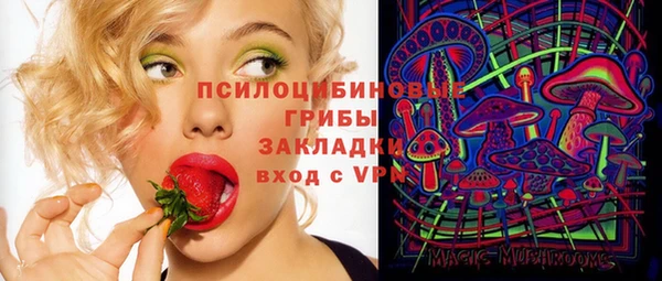 Альфа ПВП Каменка