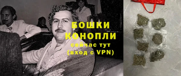 гашик Каменногорск