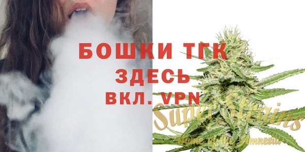 Альфа ПВП Каменка