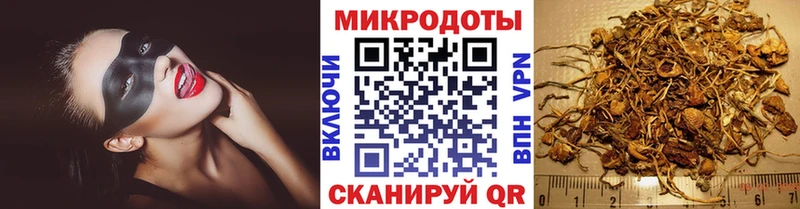 Купить где  Белая Холуница  Галлюциногенные грибы Psilocybine cubensis 